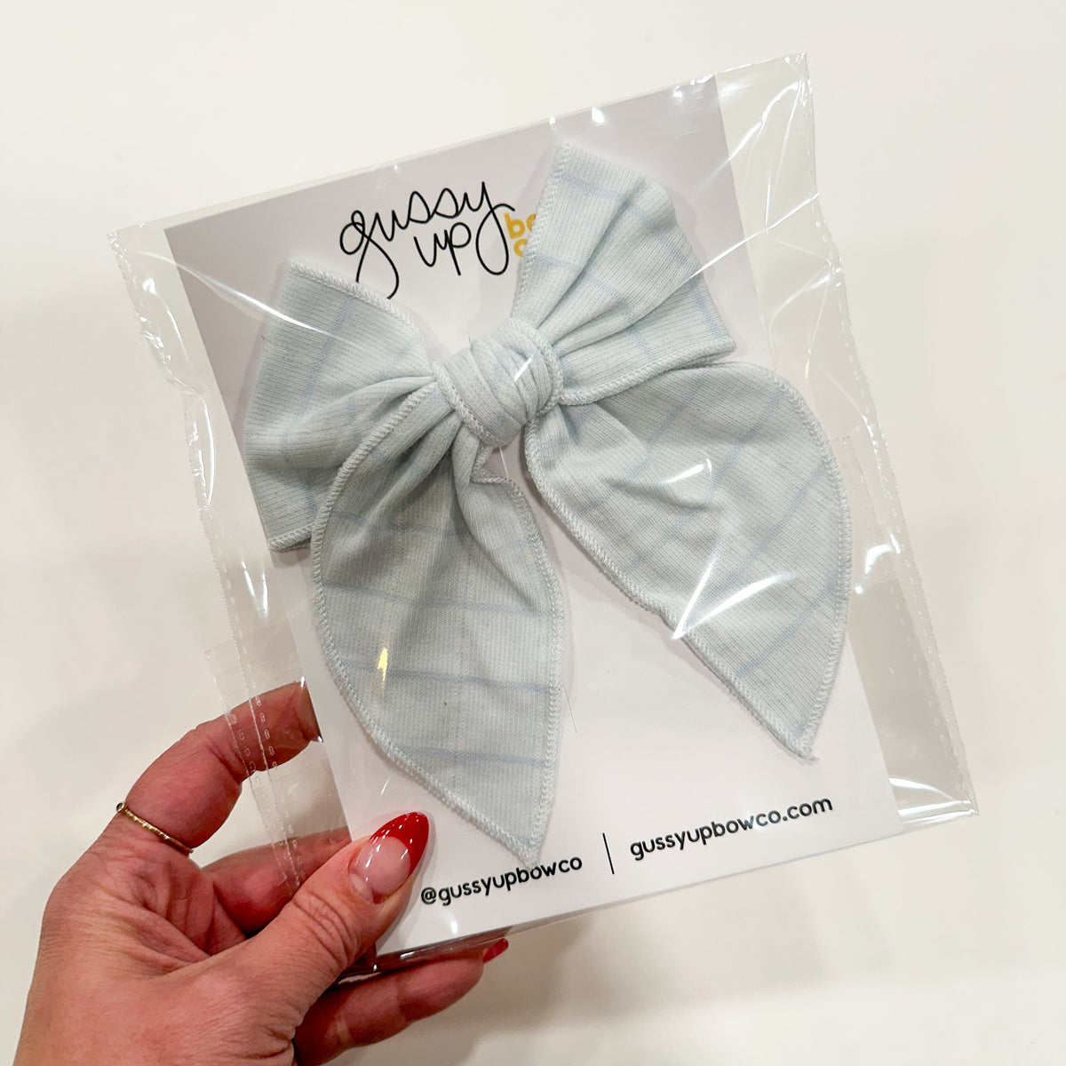 August 24 Blue Grid Whimsy Bow