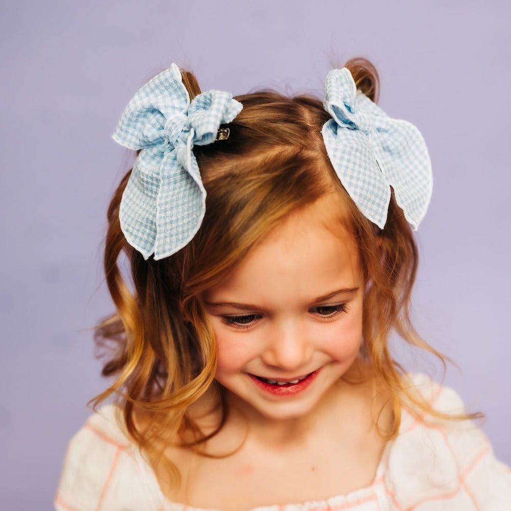 Blue Gingham Whimsy Pigtail Set