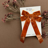 Brown Velvet Ribbon Bow