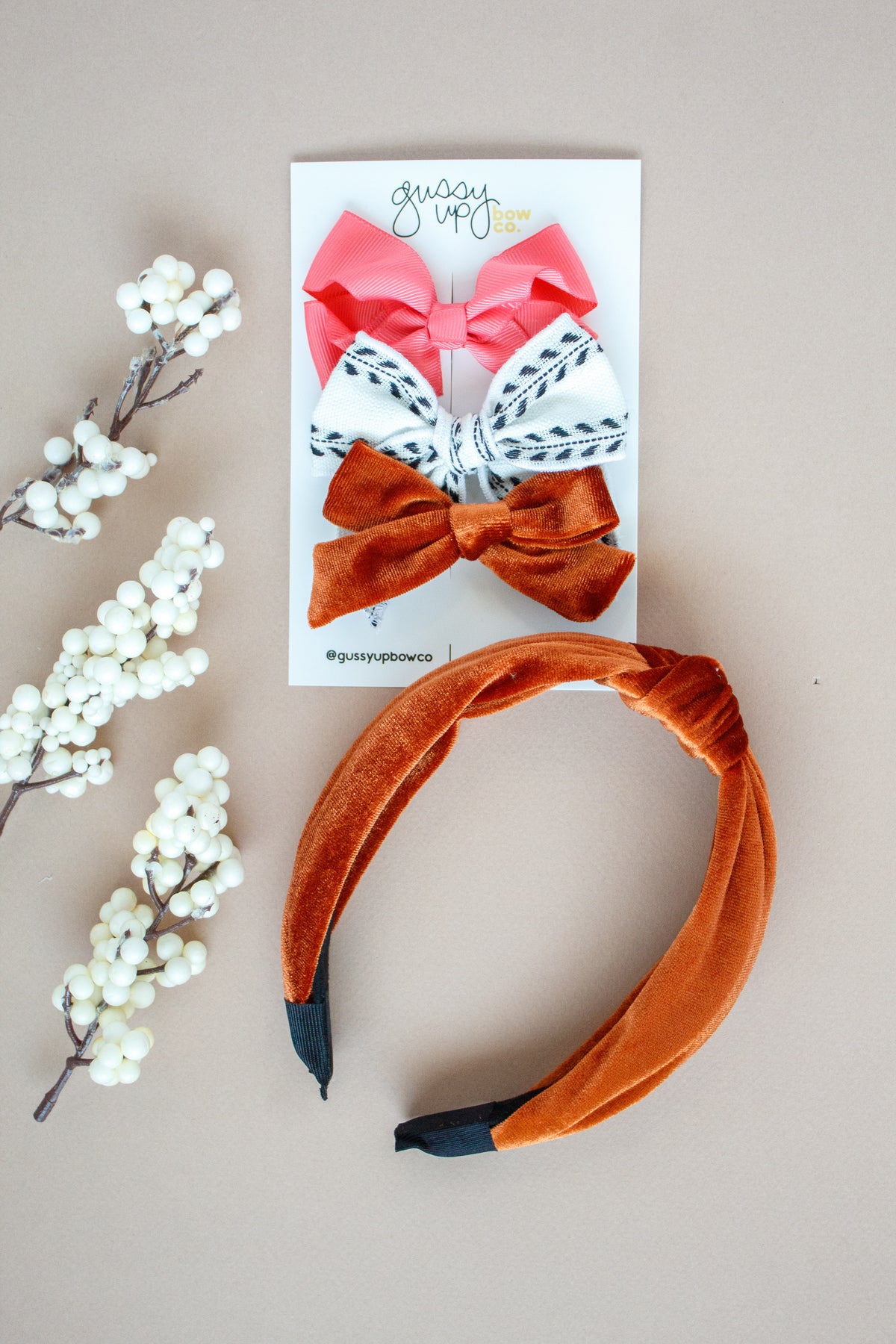 Bow Club Subscription Set | Mini Bows on Alligator Clips