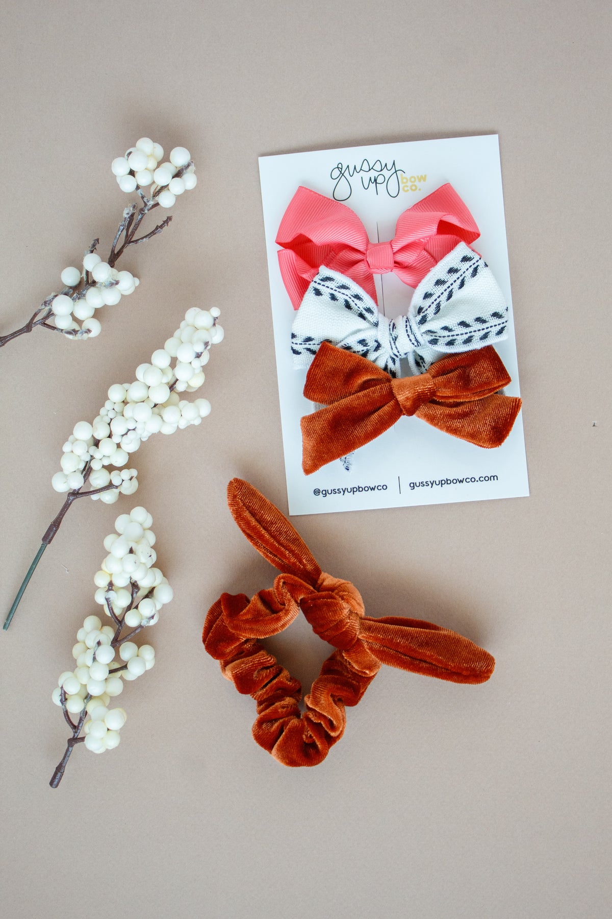 Bow Club Subscription Set | Mini Bows on Alligator Clips