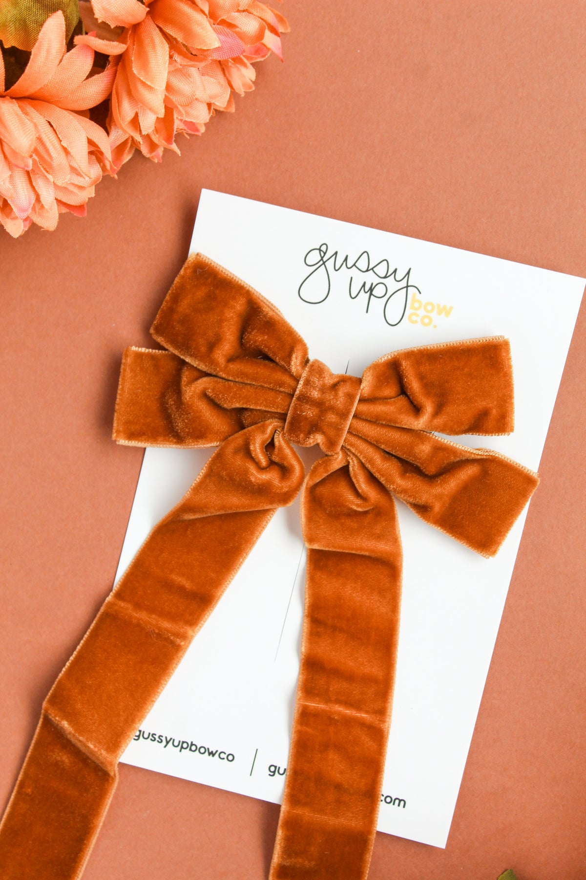 Brown Velvet Ribbon Bow