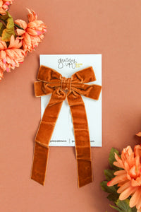 Brown Velvet Ribbon Bow