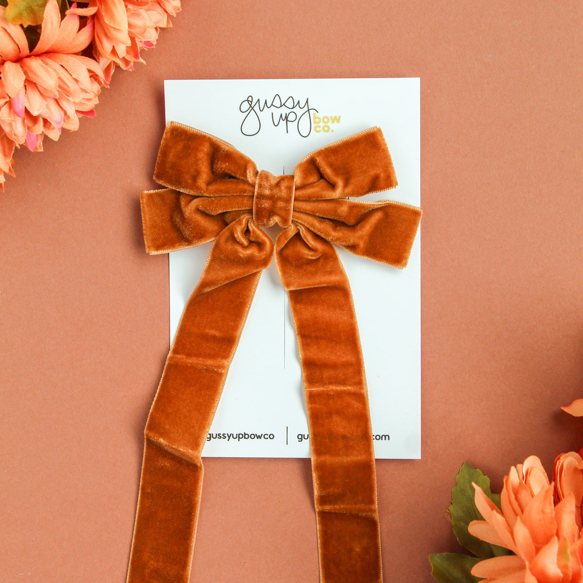 Brown Velvet Ribbon Bow