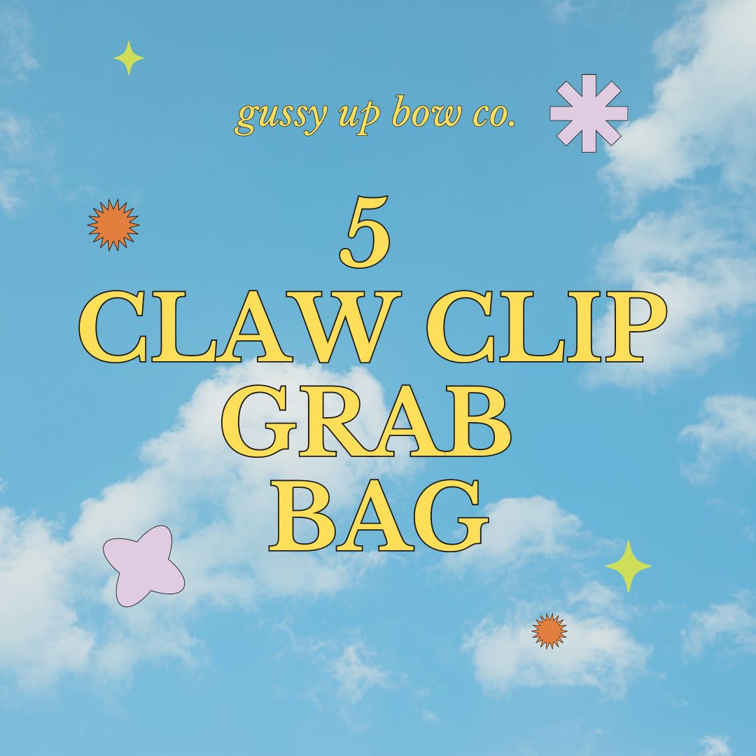 5 Claw Clip Grab Bag