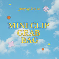 Mini Clip Grab Bag